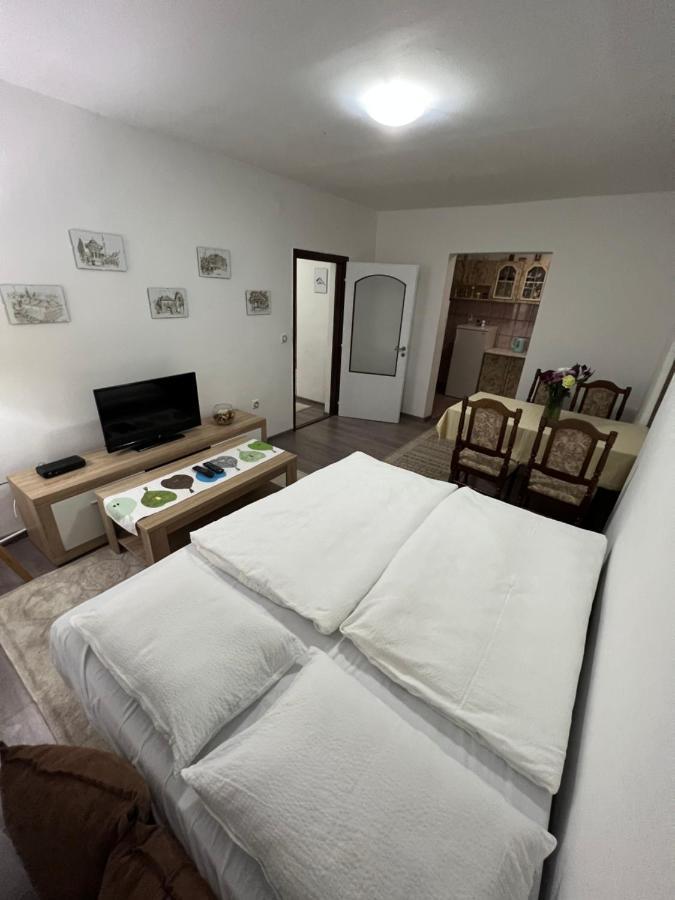 City Centar Apartman 塞拉耶佛 外观 照片