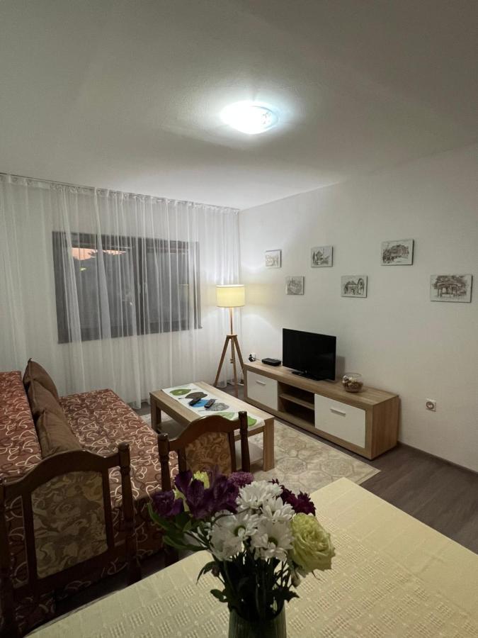 City Centar Apartman 塞拉耶佛 外观 照片